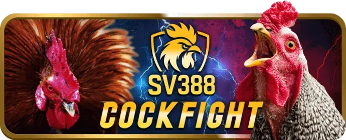Sân bóng đá với quả bóng và lưới, biểu tượng cho cá cược bóng đá sôi động tại luck88 code.